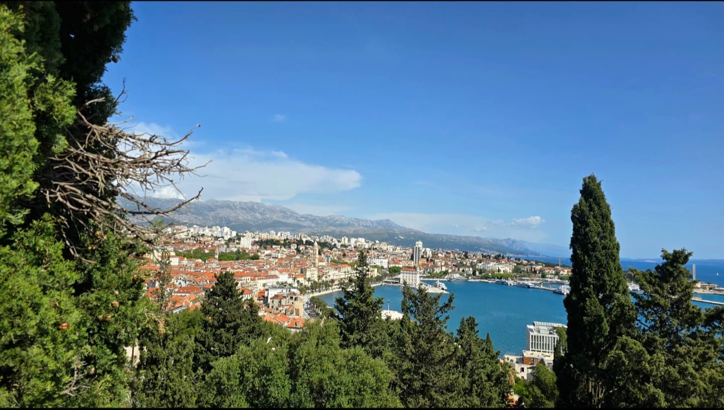 Split panorama